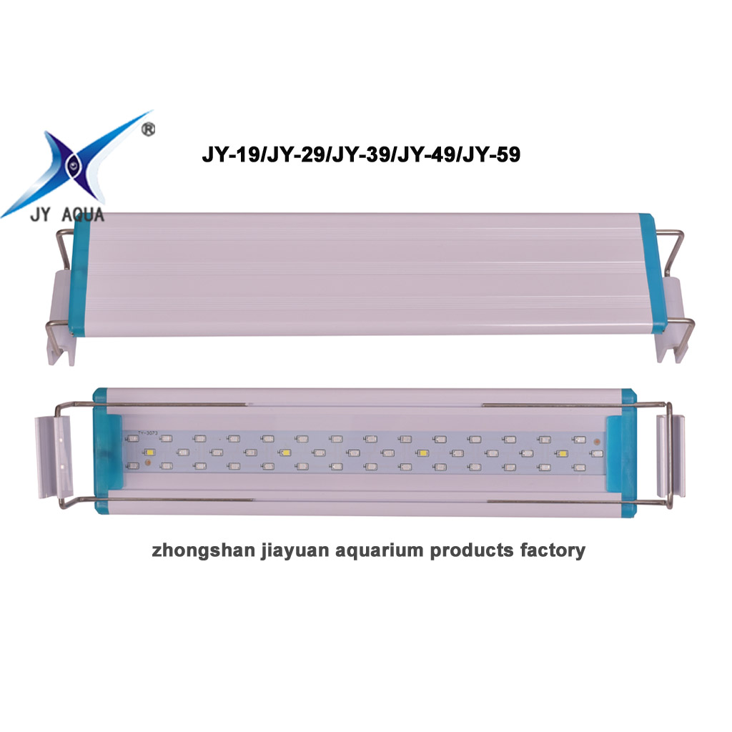 JY-19 stent lamp